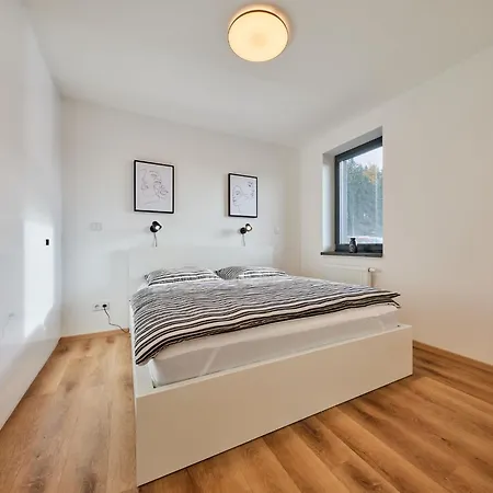 Cerny Dul-3 By Interhome Apartamento *