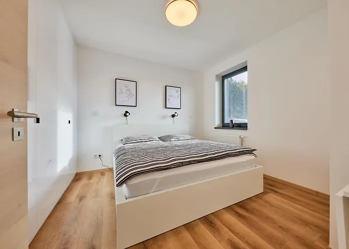 Cerny Dul-3 By Interhome Appartement *