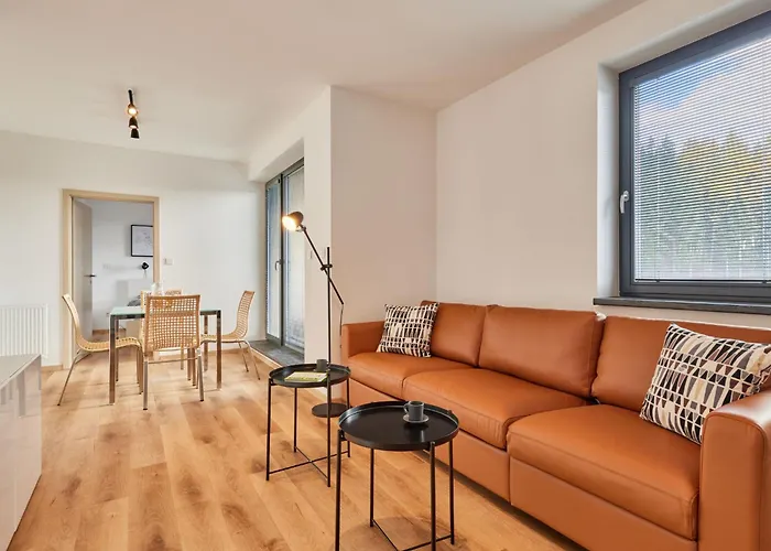 Appartement Cerny Dul-3 By Interhome Černý Důl